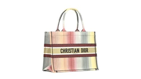 Small Dioraura Dior Book Tote Multicolor Stripe Embroidery